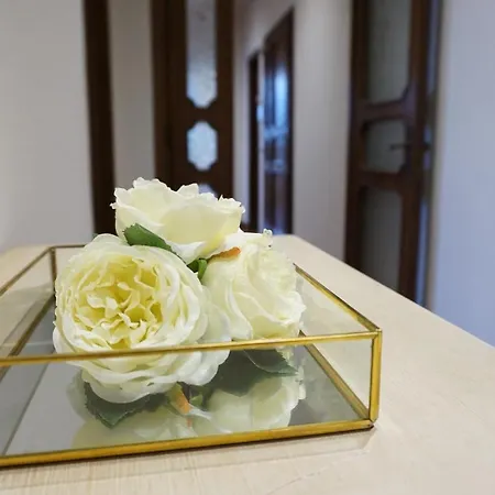 Barsotti Luxury Lucca